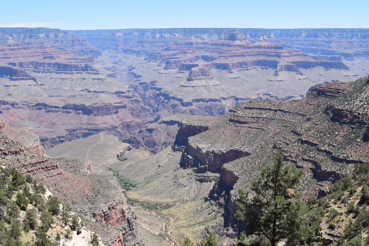 Update: Not Dead, Just In Arizona (The Grand Canyon Says&nbsp;Hello)